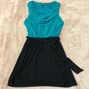 Express Cowl Neck Dress